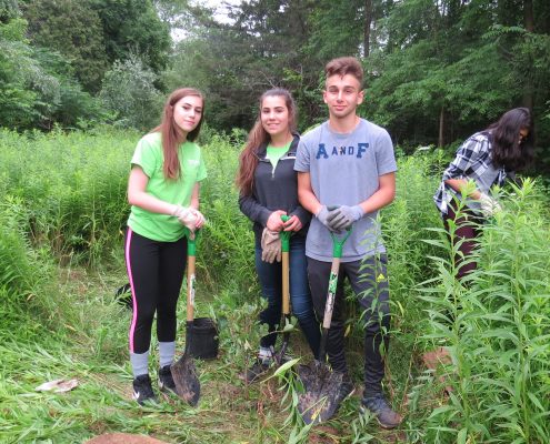 Conservation Youth Corps planting