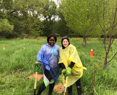 Rogers employees at a volunteer corporate tree planting