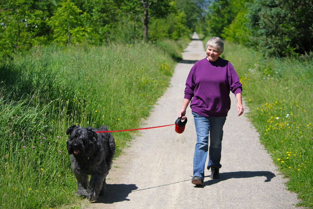 Person walking dog on trail at Island Lake Conservation Area
