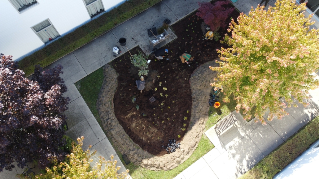 Aerial photo of people planting a garden in a courtyard.