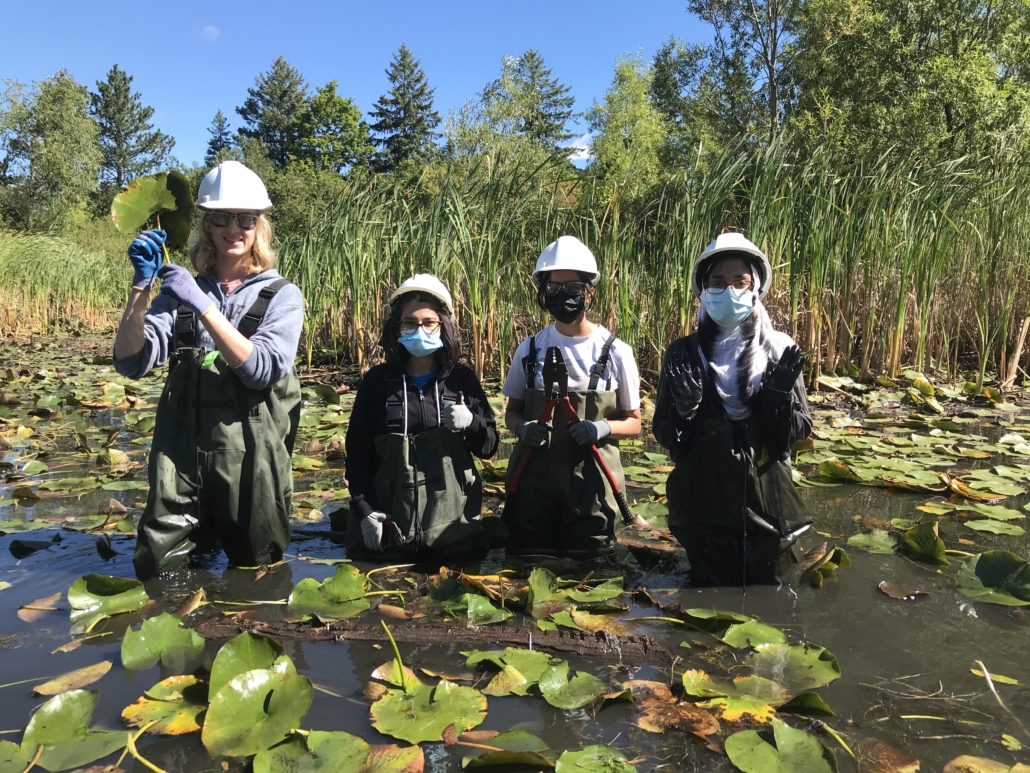 Four people wearing hip waders standing in a wetland with water up to their thighs.
